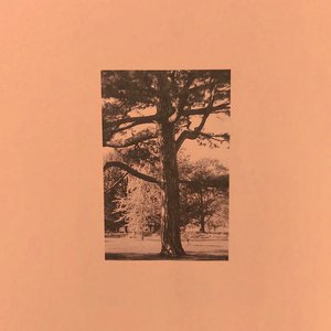 羞羞❌喷水自慰A片软件九狐
